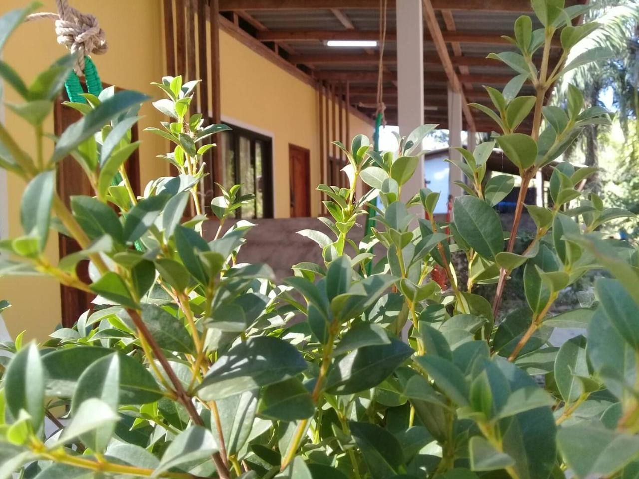 Hotel Som Palm Garden Ko Lanta Exterior foto